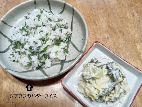 コシアブラのバターライス