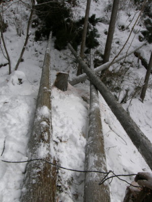 kaitaku09-01-16c.jpg