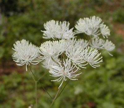 karamatu03.jpg