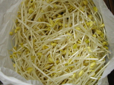 kimuti03.jpg