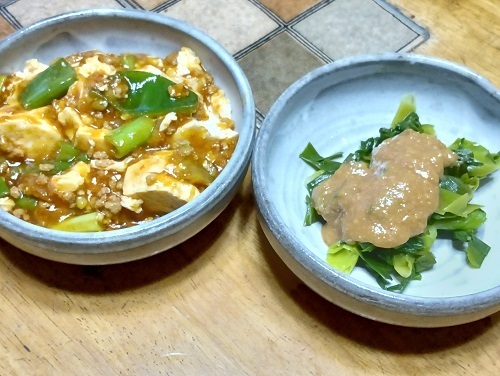 ヤブカンゾウのヌタと麻婆豆腐