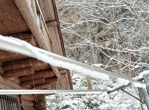 着雪