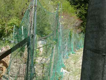 作業前