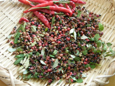 sansyoumi02.jpg