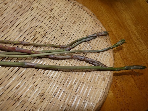 VIfŏI