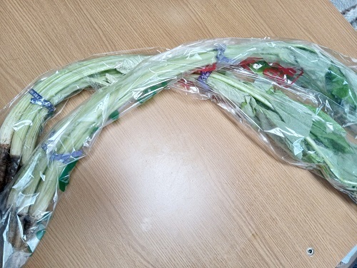 若ゴボウ