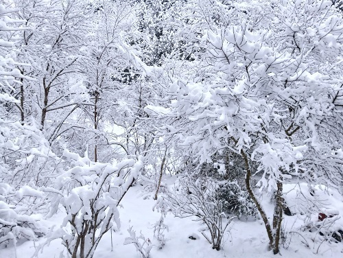 19日朝1i