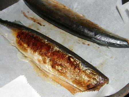 糠秋刀魚