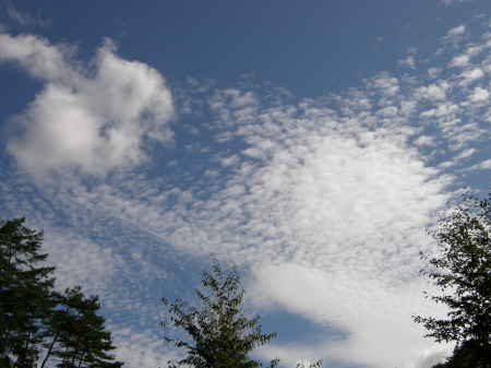 空2