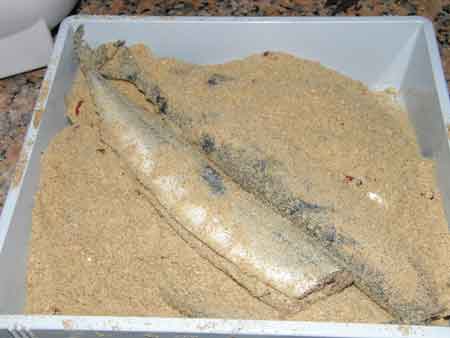 糠秋刀魚を作る